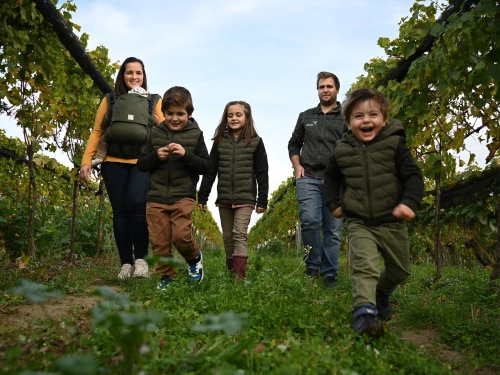 Weingut Magerl – Tradition und Terroir aus ...